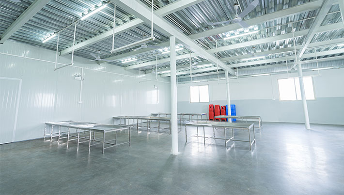 橙子直播下载APP视频污版厂房