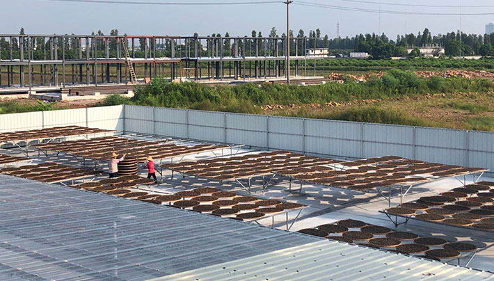 橙子直播下载APP视频污版厂房