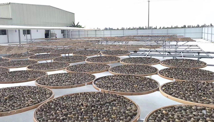 橙子直播下载APP视频污版厂房